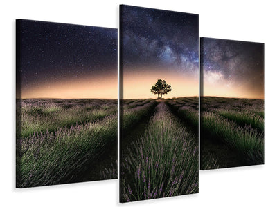 modern-3-piece-canvas-print-lavender-way