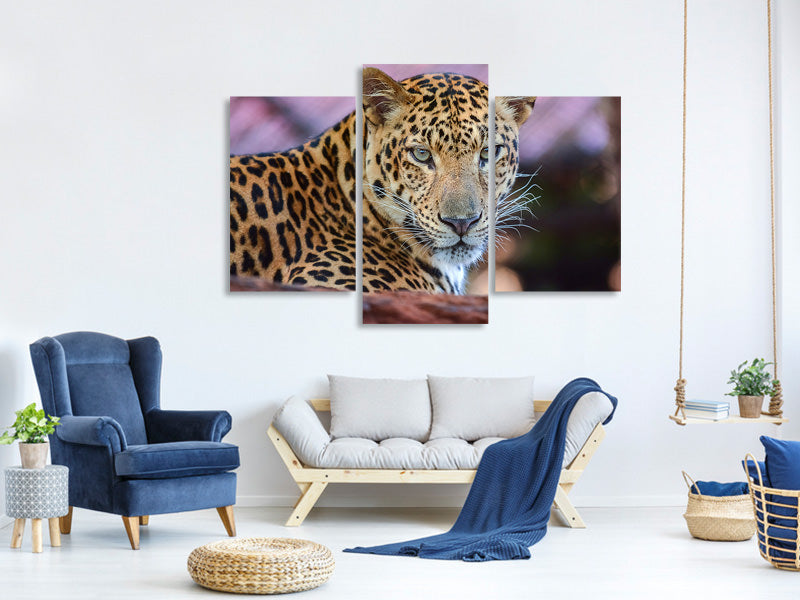 modern-3-piece-canvas-print-leopard