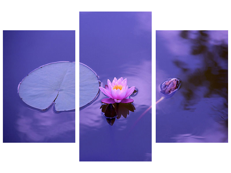 modern-3-piece-canvas-print-lotus-flower