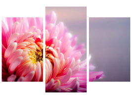 modern-3-piece-canvas-print-macro-chrysanthemum