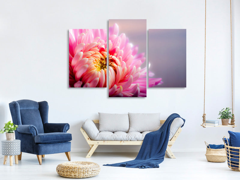 modern-3-piece-canvas-print-macro-chrysanthemum