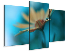 modern-3-piece-canvas-print-memories-of-sea