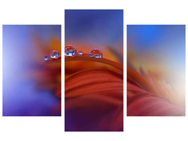 modern-3-piece-canvas-print-metamorphosis