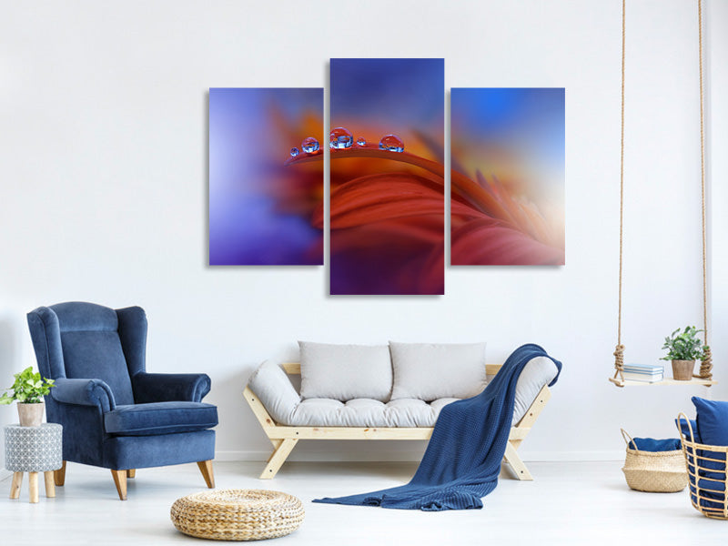 modern-3-piece-canvas-print-metamorphosis