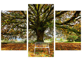 modern-3-piece-canvas-print-my-favorite-tree