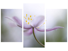 modern-3-piece-canvas-print-nemorosa-ii