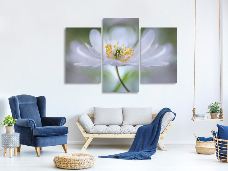 modern-3-piece-canvas-print-nemorosa-nirvana