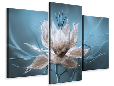 modern-3-piece-canvas-print-nigella