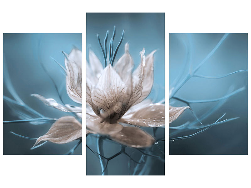 modern-3-piece-canvas-print-nigella