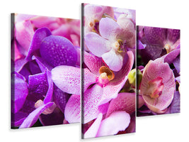 modern-3-piece-canvas-print-orchid-paradise