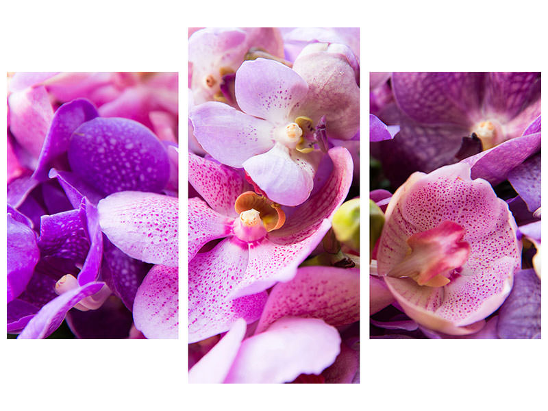 modern-3-piece-canvas-print-orchid-paradise