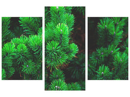 modern-3-piece-canvas-print-pine-xl