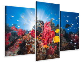 modern-3-piece-canvas-print-reef-life