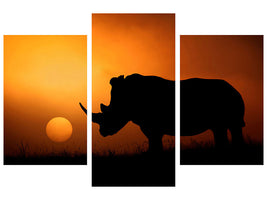 modern-3-piece-canvas-print-rhino-sunrise