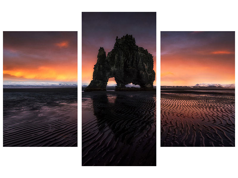 modern-3-piece-canvas-print-rhino
