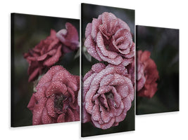 modern-3-piece-canvas-print-romantic-roses