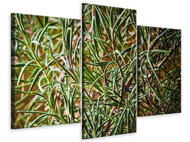 modern-3-piece-canvas-print-rosemary-xxl