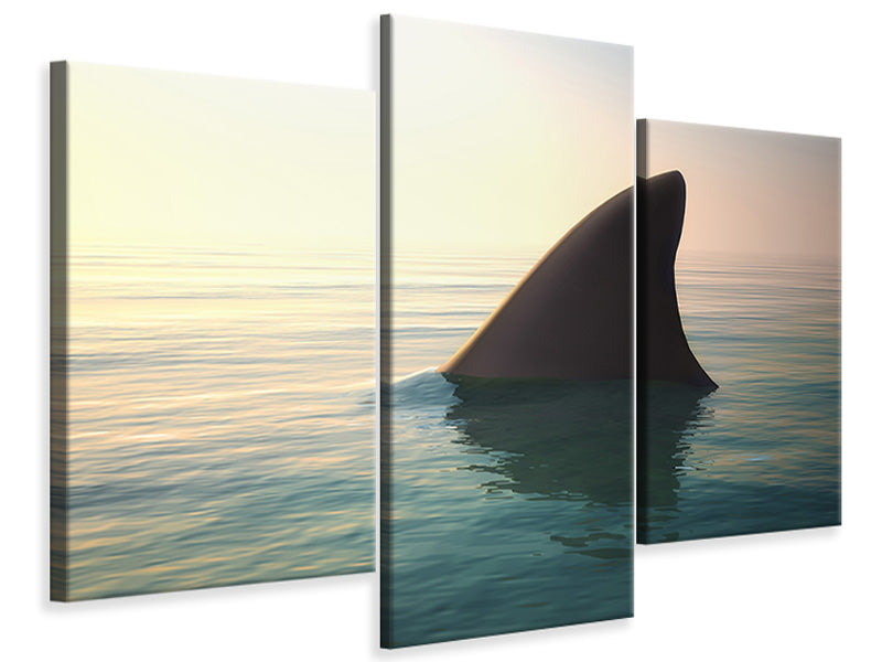 modern-3-piece-canvas-print-shark-fin