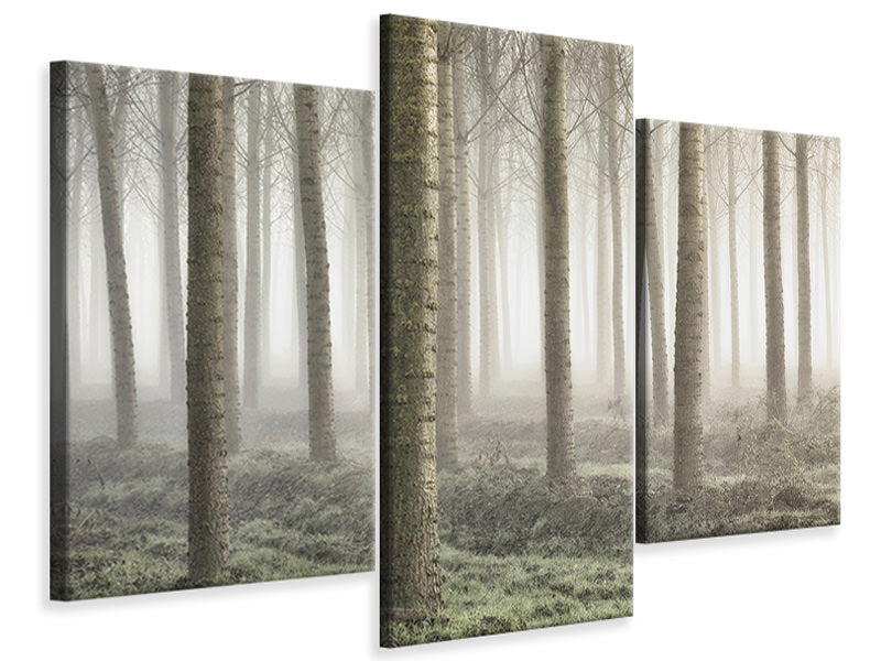 modern-3-piece-canvas-print-small-woodland
