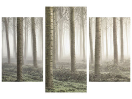 modern-3-piece-canvas-print-small-woodland