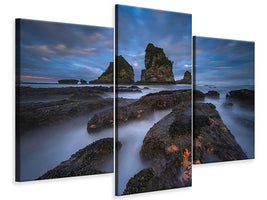 modern-3-piece-canvas-print-starfish