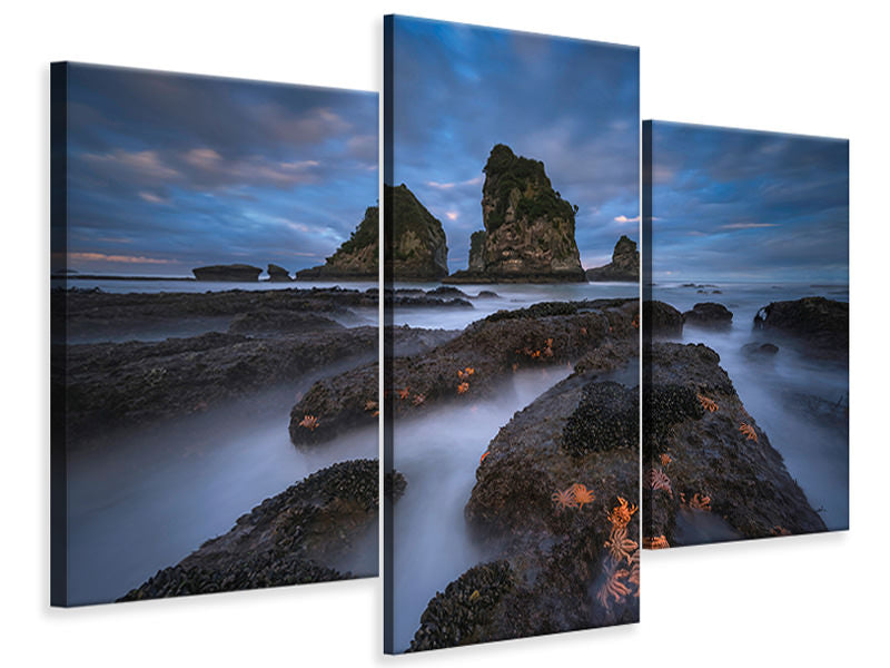modern-3-piece-canvas-print-starfish