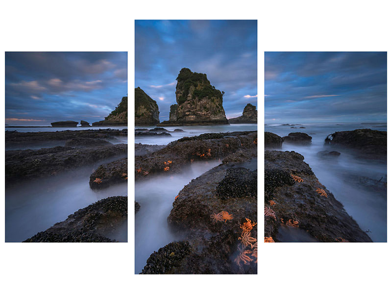 modern-3-piece-canvas-print-starfish