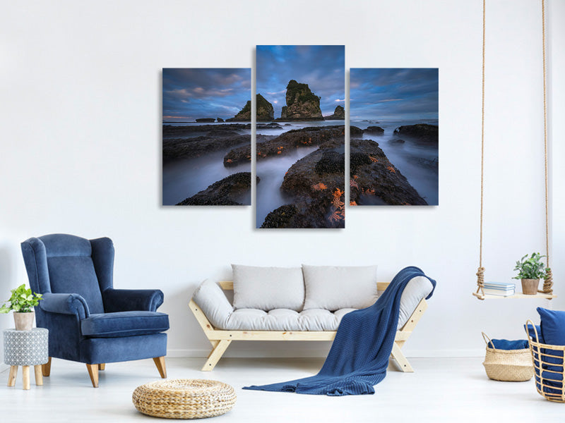 modern-3-piece-canvas-print-starfish