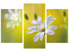 modern-3-piece-canvas-print-stitchwort-ii