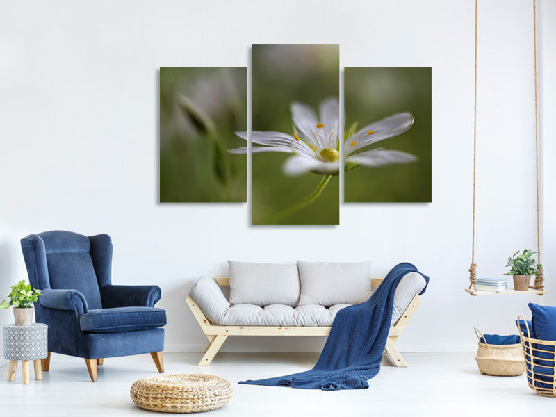 modern-3-piece-canvas-print-stitchwort