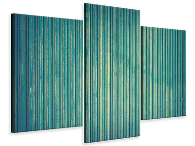 modern-3-piece-canvas-print-strip-of-nature