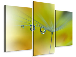 modern-3-piece-canvas-print-sunbeam-iii