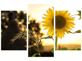 modern-3-piece-canvas-print-sunflower-in-the-sunrise