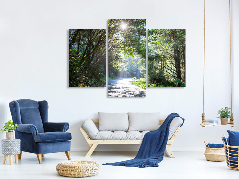 modern-3-piece-canvas-print-sunny-forest-path