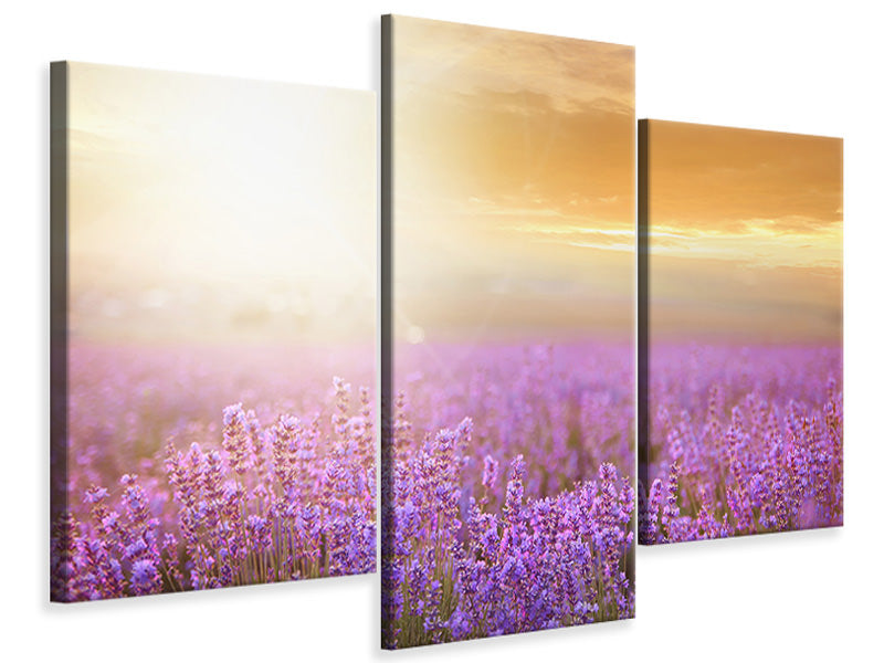 modern-3-piece-canvas-print-sunset-in-lavender-field