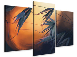 modern-3-piece-canvas-print-sunset-p