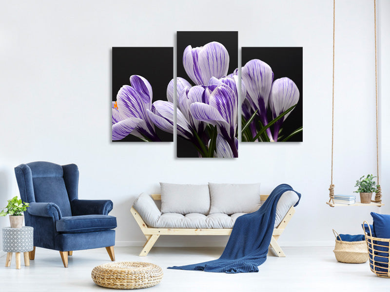 modern-3-piece-canvas-print-the-crocus