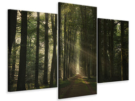 modern-3-piece-canvas-print-the-essential