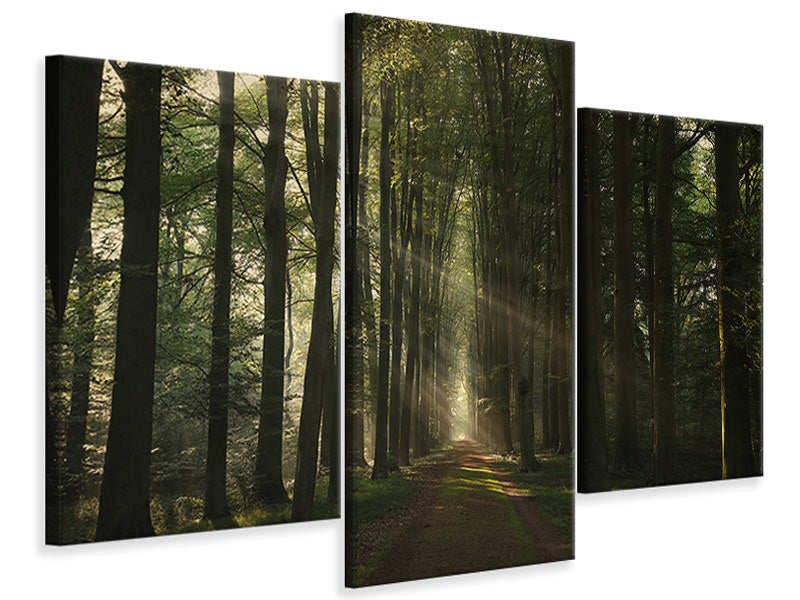modern-3-piece-canvas-print-the-essential
