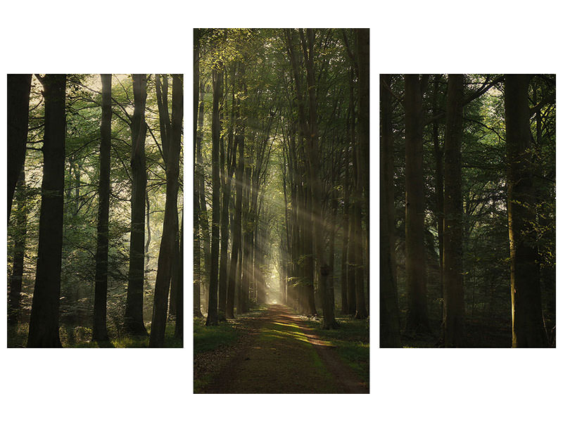 modern-3-piece-canvas-print-the-essential