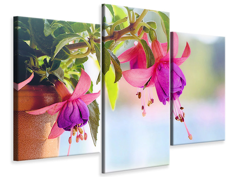 modern-3-piece-canvas-print-the-fuchsias