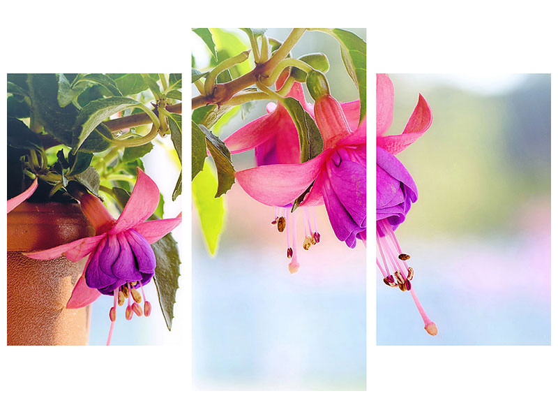 modern-3-piece-canvas-print-the-fuchsias