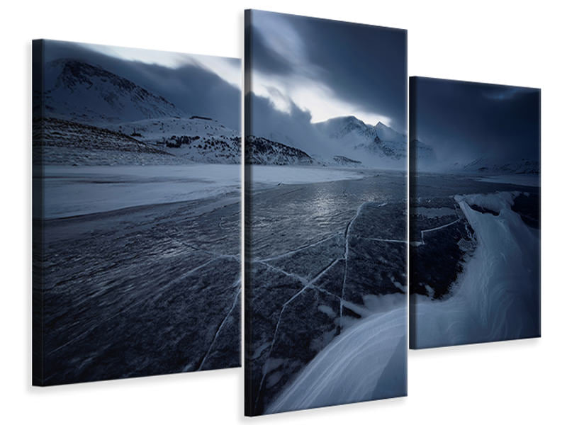 modern-3-piece-canvas-print-the-grip-of-ice