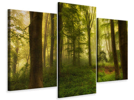 modern-3-piece-canvas-print-the-little-tree
