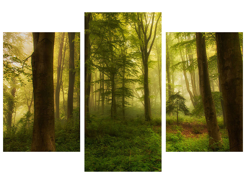 modern-3-piece-canvas-print-the-little-tree
