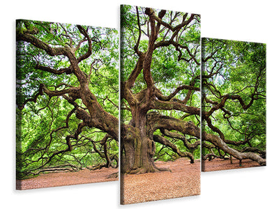 modern-3-piece-canvas-print-the-oak