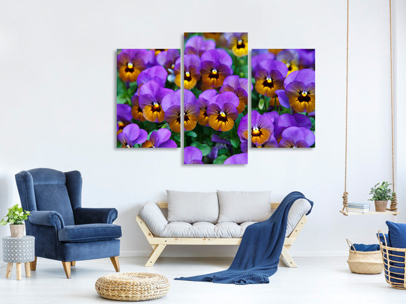 modern-3-piece-canvas-print-the-pansies