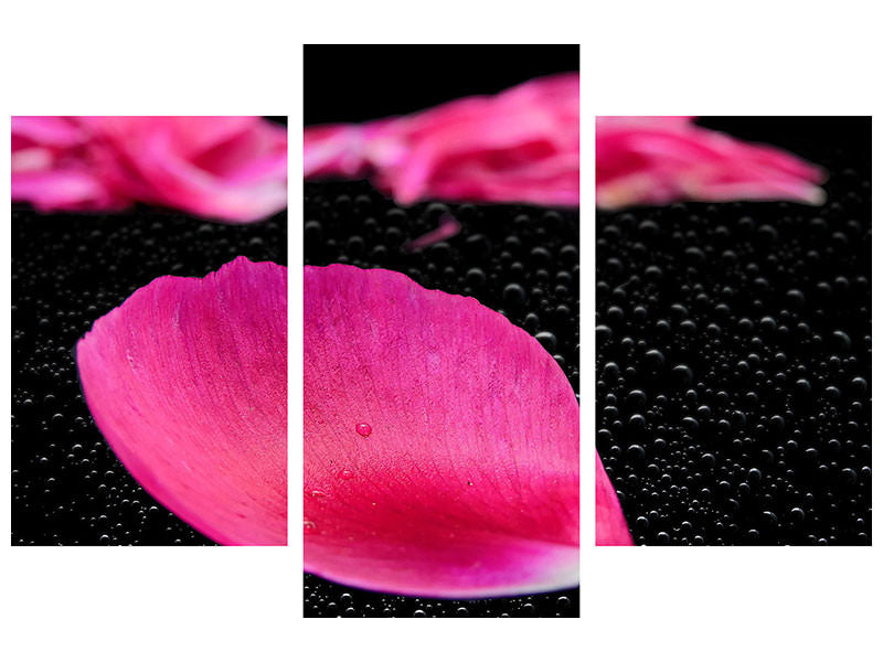 modern-3-piece-canvas-print-the-petals