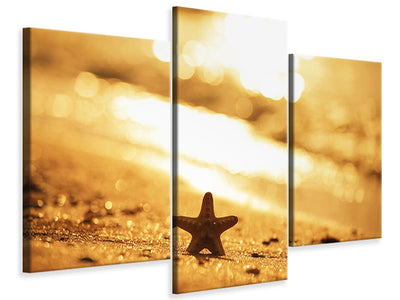 modern-3-piece-canvas-print-the-starfish