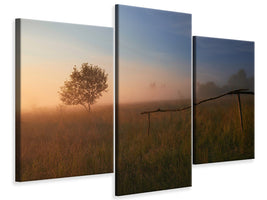modern-3-piece-canvas-print-the-summer-field